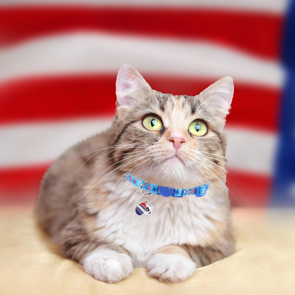 PUPTECK Cat Collar Breakaway with Bells, Kitten Outfit