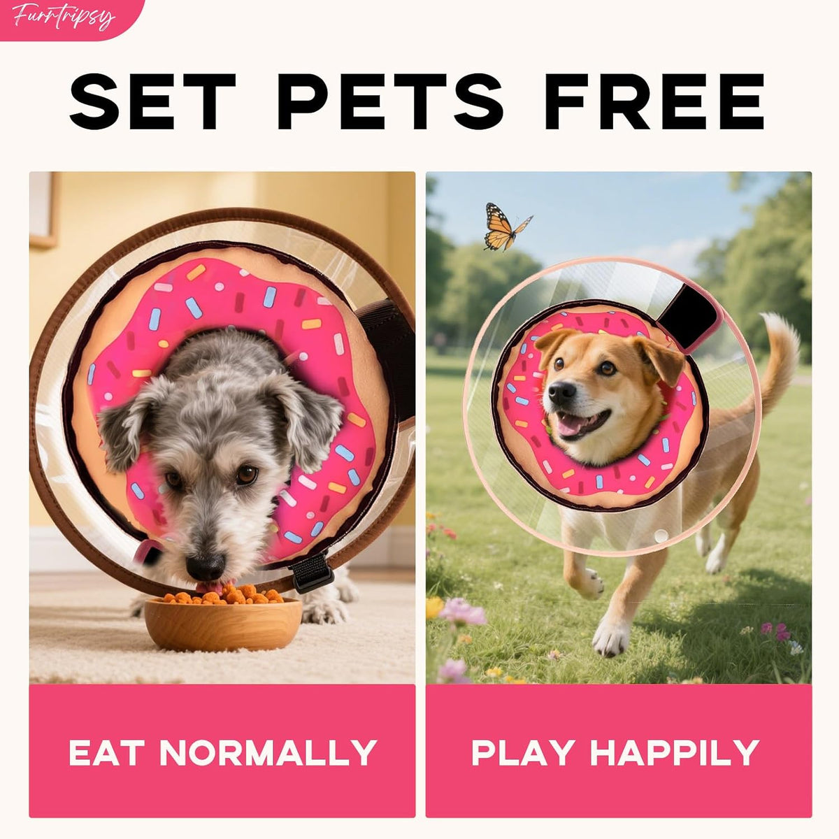 Inflatable Dog Cone Collar with Detachable Shield, Pink, M+