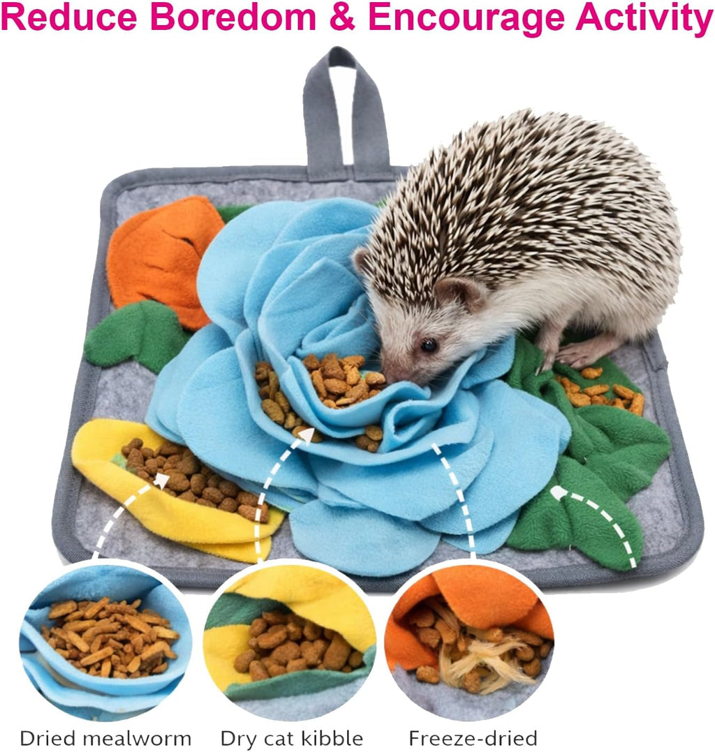 5Pcs Hedgehog Foraging Toy – Snuffle Mat, Snuffle Ball & Carrot Treat Toys for Hedgehog Cage Enrichment, Interactive Feeding Toys for Hedgehog, Rabbit & Guinea Pig, Small Pet Foraging Toys