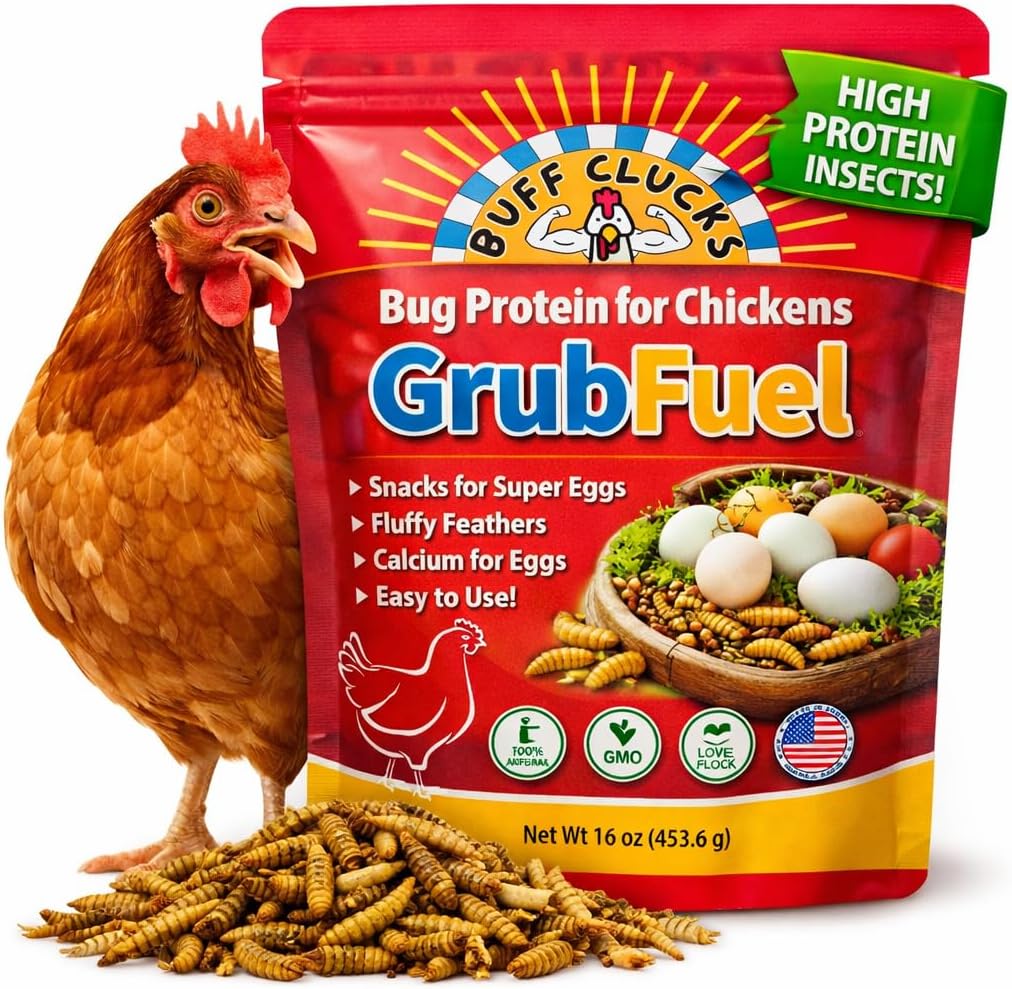 Buff Clucks Grub Fuel Black Soldier Fly Larvae for Chickens, Chick Feed 1lb