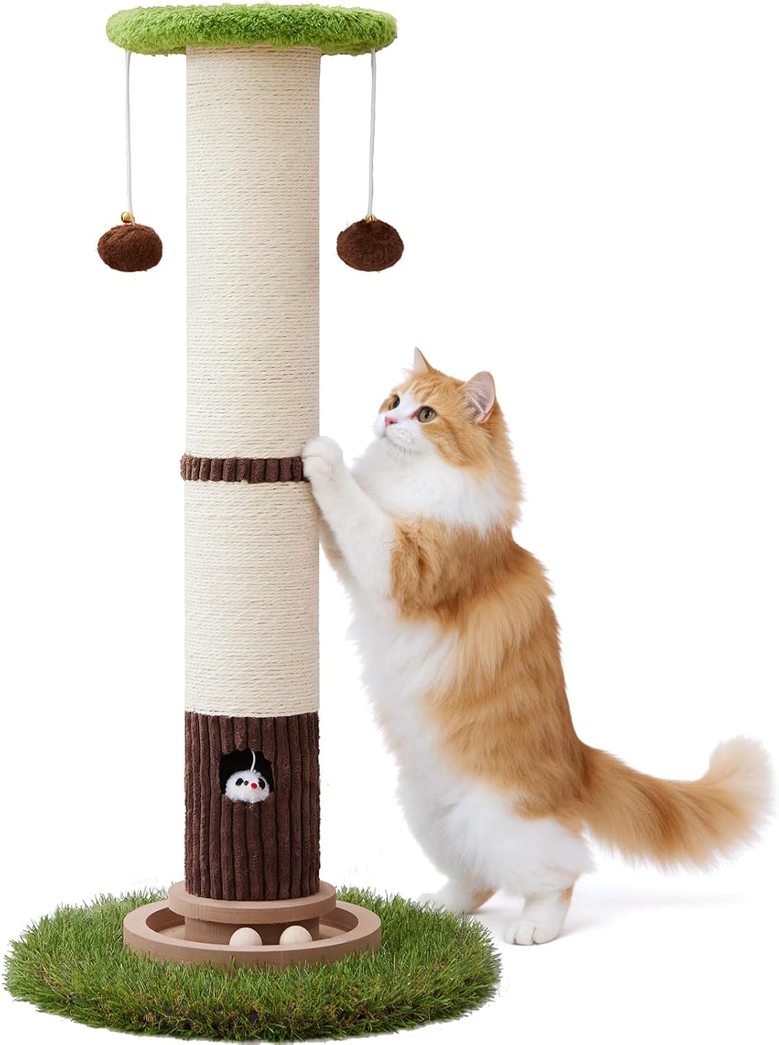34" Tall Cat Scratching Posts,Heavy Duty and Thicker Cat Scratcher
