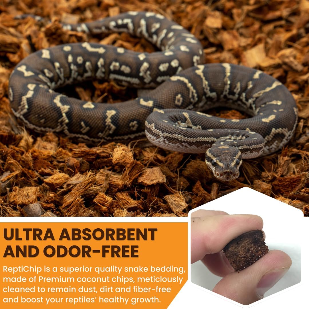 ReptiChip Reptile Bedding Loose Coconut Chip 12 Quart Coco Husk Substrate Mulch for Snake Habitat, Ball Python Terrarium, Turtle Tanks, Tortoise Enclosure