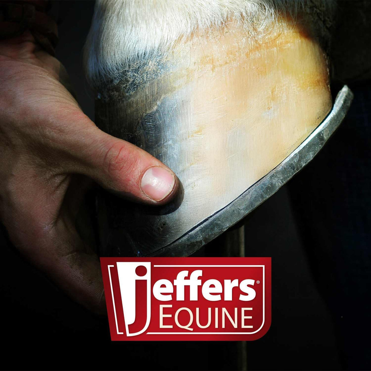 Jeffers Livestock Mini Hoof Rasp for Goats, Sheep, Pony, Mini Horses, Foals – 14" Ergonomic Steel Hoof Trimming Tool with 6 Teeth per Row – One Hand Use, Compact Farrier Hand Rasp