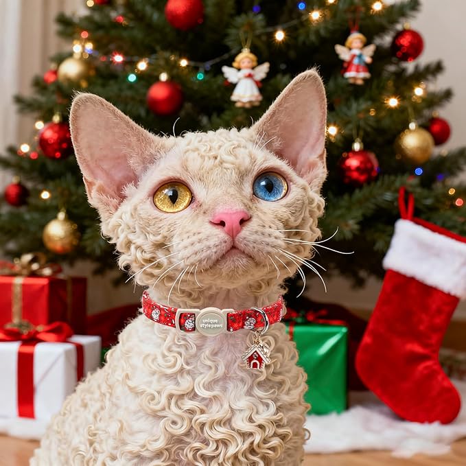 Unique style paws 2 Pack Christmas Kitten Collar Breakaway - Image 6