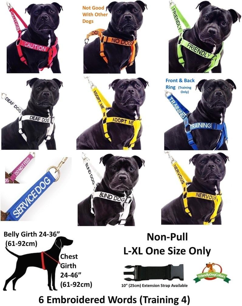 Adopt ME Yellow Color Coded 2 4 6 Foot Padded Dog Leash (New Home Needed) Donate to Your Local Charity (4 Foot Leash)