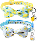 SCENEREAL Breakaway Cat Collar by SCENEREAL