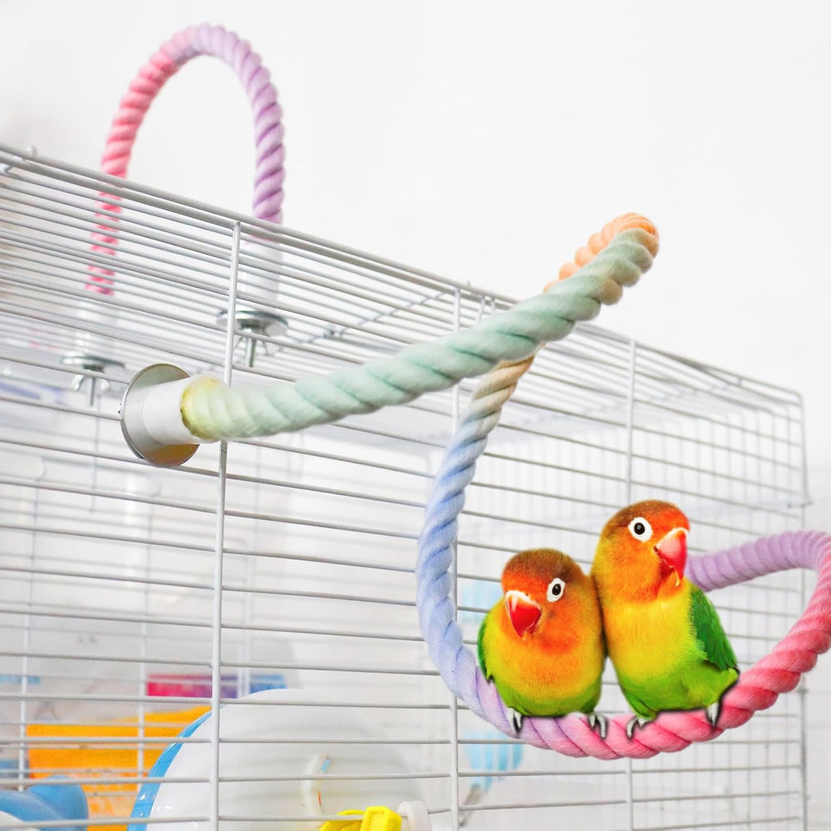 WishLotus Parrot Rope Perch, 31 in Rope Perches for Bird Cages with 2 Small Stand Pole, Flexible Fade Color Perch Rope Swing for Paw Grinding Standing Climbing (A, 31 in+6.6 in)
