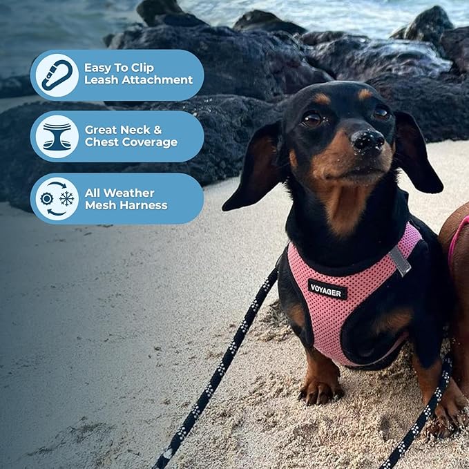 Best Pet Supplies Voyager Step-in Air All Weather Mesh Harness and Reflective - Image 5