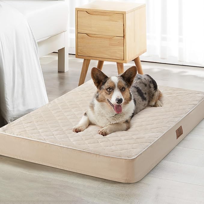 WNPETHOME Orthopedic XL Dog Beds Large Sized Dog, Waterproof Extra Large Dogs by WNPETHOMEPETSHOME