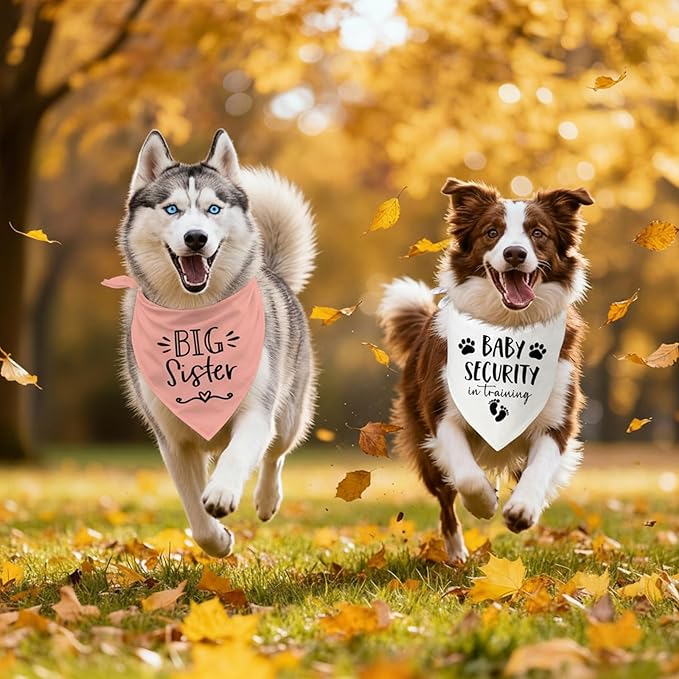 Big Sister&Baby Security in Training Dog Bandana, Dog Bandanas - Image 6