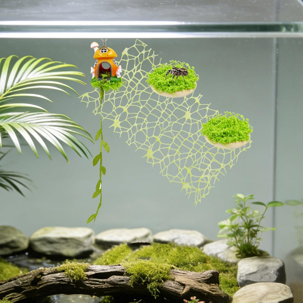 Magnetic Jumping Spider Habitat Decor Set - Mushroom Hideout, Climbing Web & Wood Platforms with Magnets for Enclosure Decoration