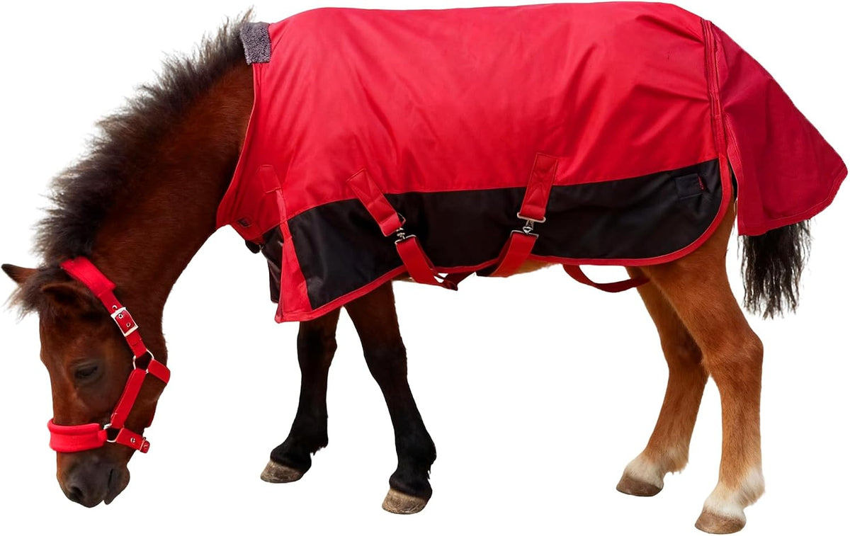 Mini Horse/Pony/Foal/Miniature Turnout Blanket, Medium Weight Winter Blanket for Horses, Donkey Blanket, 1680 Denier Waterproof &Breathable/220g Filling (Blue, 47in)