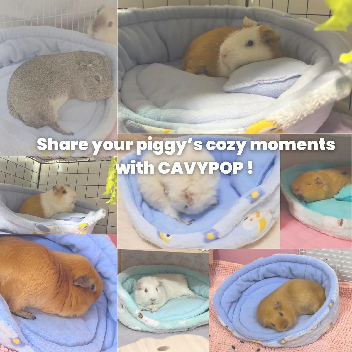 Guinea Pig Couch Bed, Plush Sofa with 2 Washable Mats & Pillow