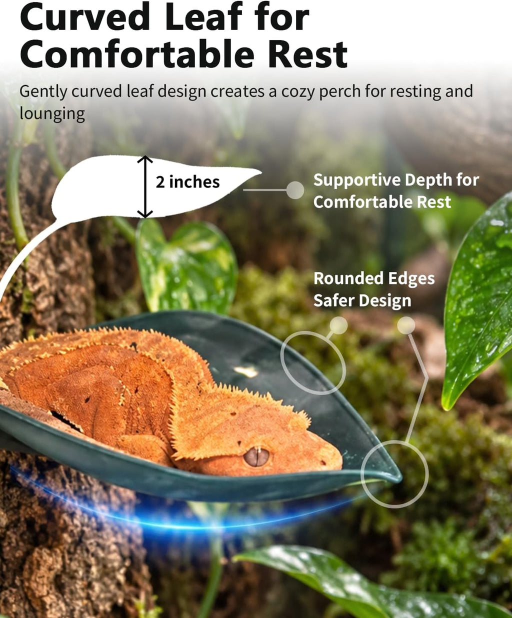 Crested Gecko Tank Accessories, 3PCS Reptile Leaf Hide Platform with Strong Suction Cups, Climbing & Resting Habitat Decor for Crested Geckos, Tree Frogs, Lizards and Small Reptiles (Dark Green)