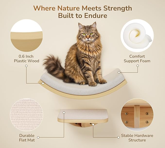 Cat Wall Shelf & Window Perch Combo, Wood Cats Wall Furniture - Image 4
