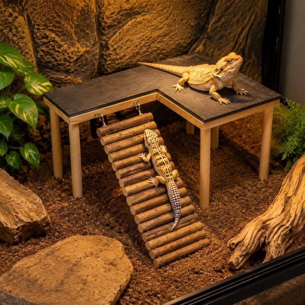 Bearded Dragon Basking Platform, Bearded Dragon Tank Accessories, Reptile Basking Rock with Climbing Ramp and Hideout Cave, Wooden Reptile Habitat Decor for Lizard Gecko Tortoise Snake