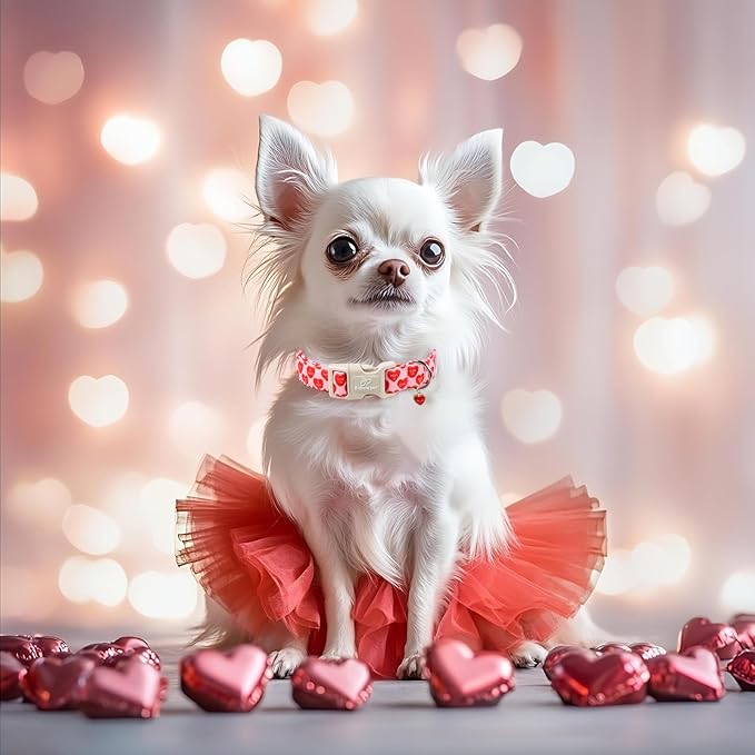 Valentines Dog Collar for Large Dogs - Image 5