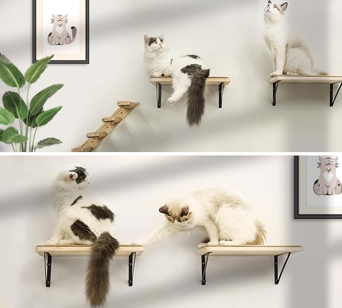 2PCS Cat Wall Shelves with Scratching Mat, 16.6x9.7 Inch Cats Wall Furniture - Image 8