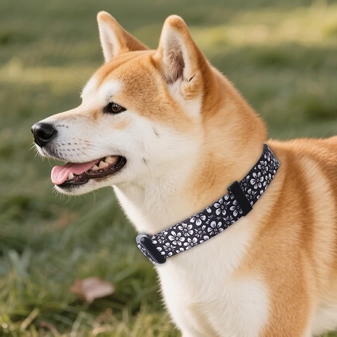 QQPETS Adjustable Soft Dog Collar: Print Flower Pink Multicolor Cute Patterns - Image 7