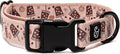 Lucy & Co. Dog Collar by LucyCo
