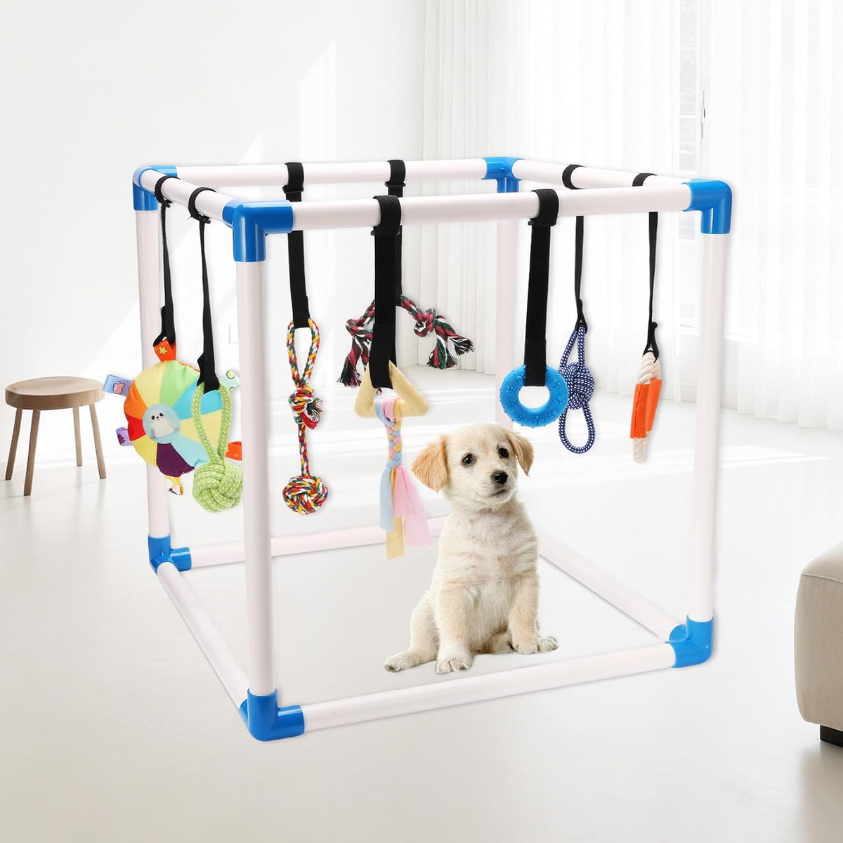 Indoor Puppy Play Gym for Small Dogs, 8 Toys Activity Center