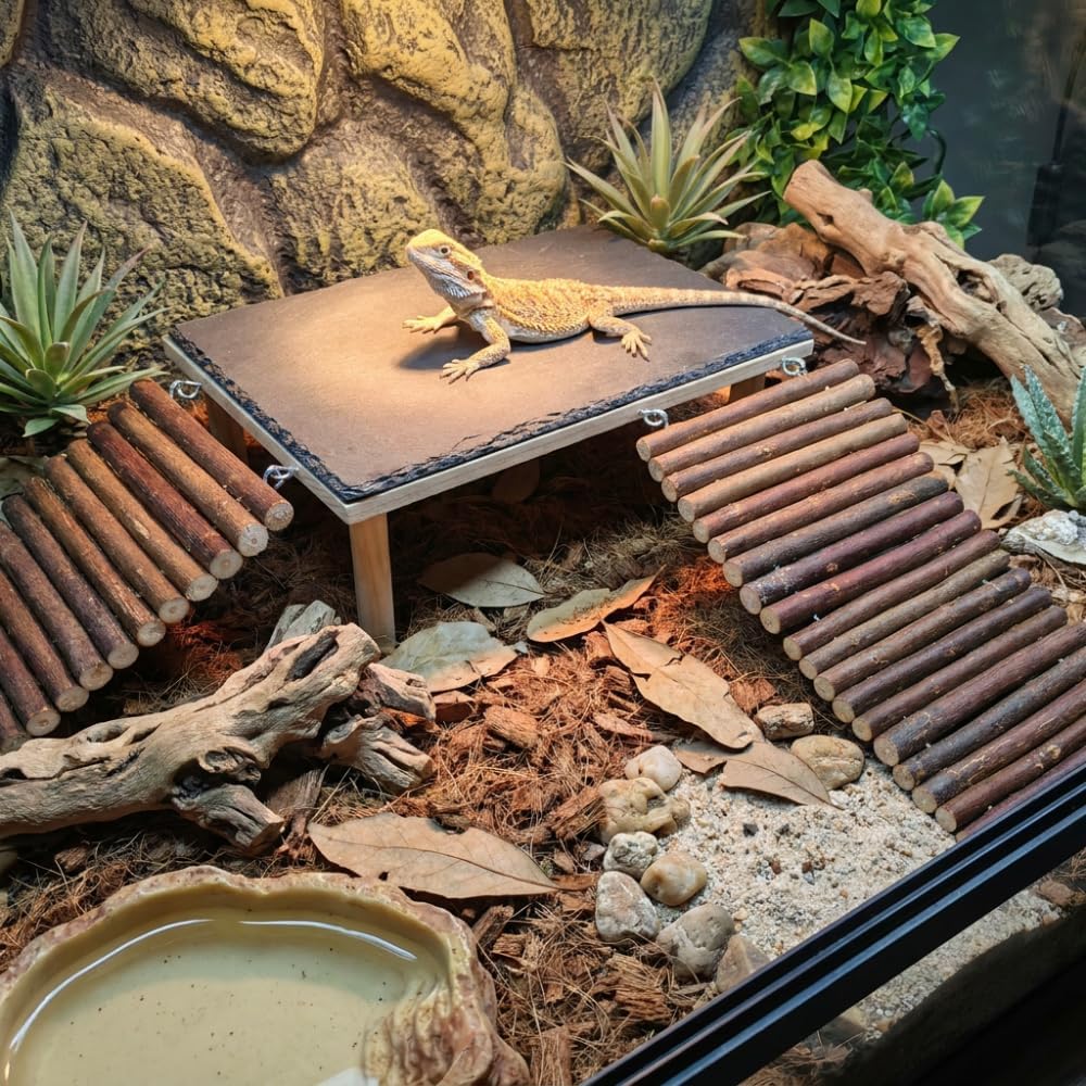Large Reptile Basking Platform with Slate Top and 2 Willow Wood Ladders, 11.8 x 7.9 in Raised Climbing Ramp for Bearded Dragons, Leopard Geckos, Lizards, Tortoises, Toads and Terrariums