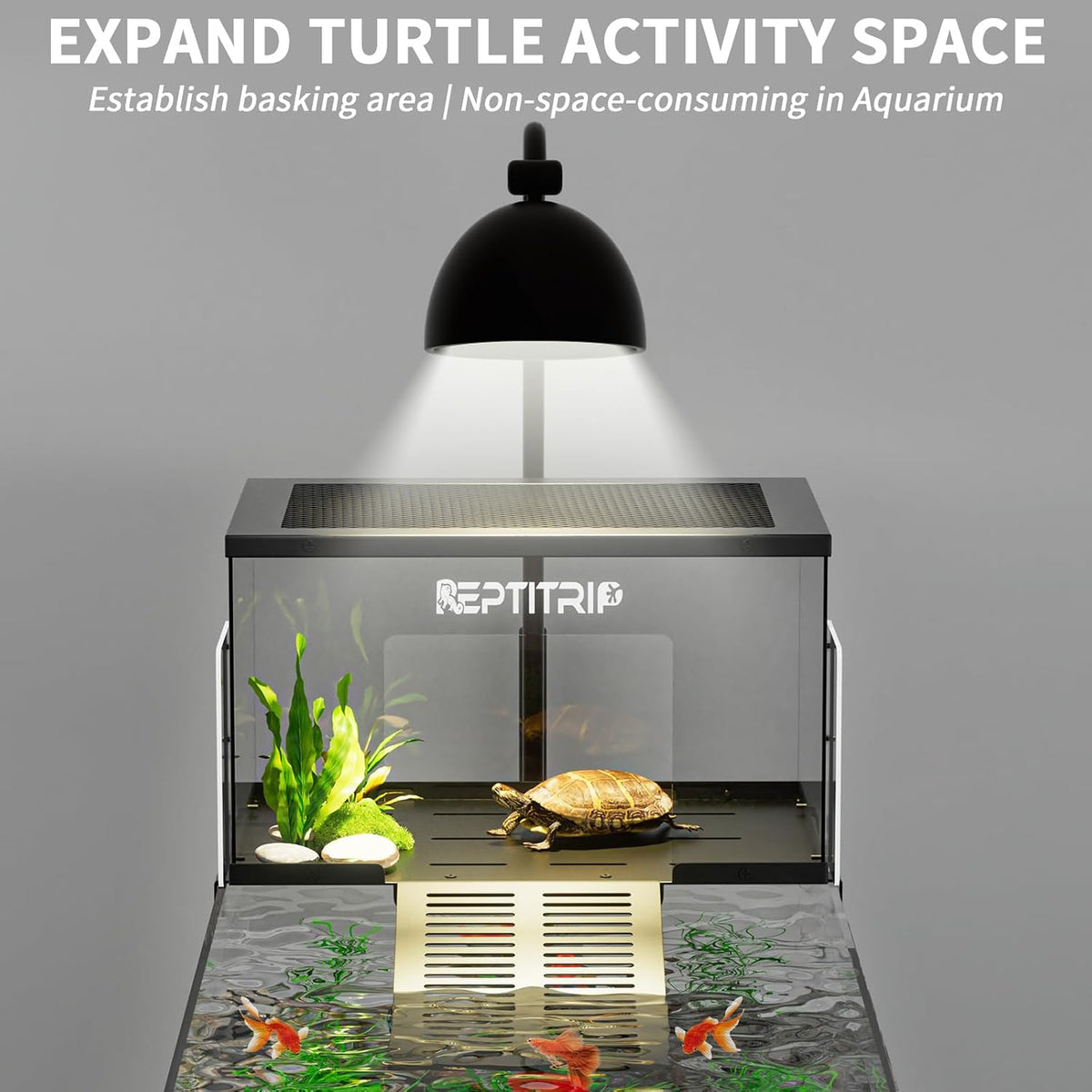 Stainless Steel Turtle Basking Platform, for 10‑13 Inch Wide Aquariums, L