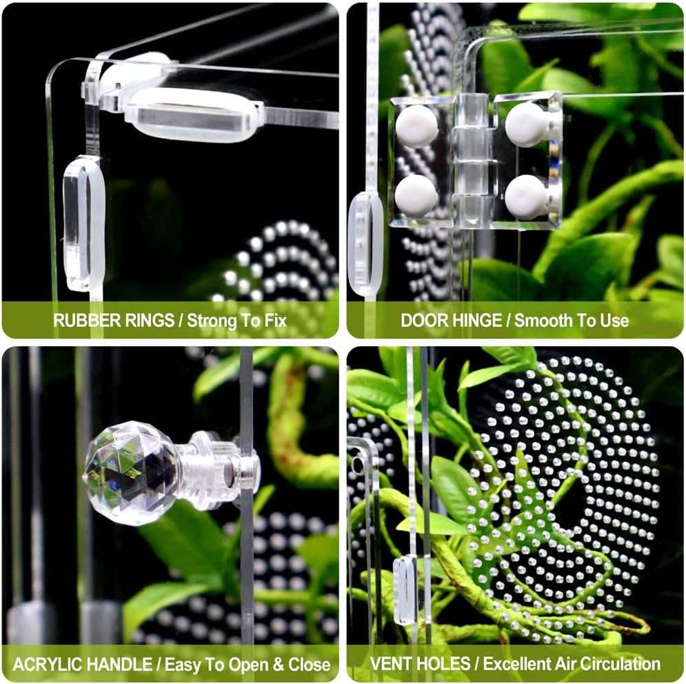 Large Jumping Spider Enclosure, Tarantula Enclosure with Front Opening Door, Spider Enclosure for mantises, Lizards, Frogs and Insects. (6x6x12 Inch, Assemble)