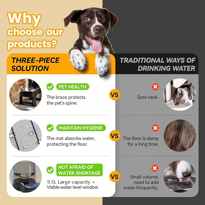 CZPET Elevated Dog Water Bowl Dispenser - Image 4