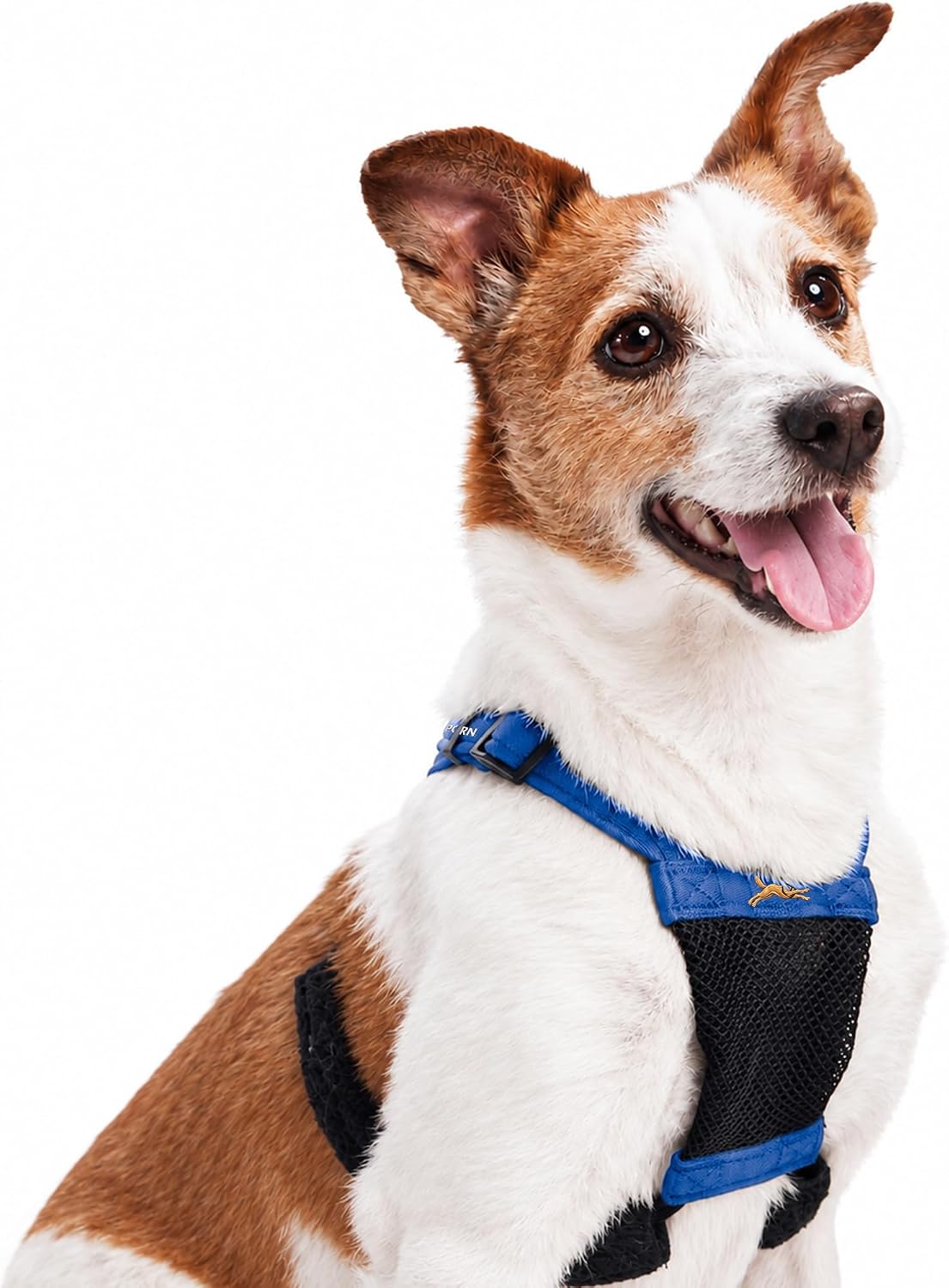 Sporn No Pull Dog Harness, Harness for Dogs, Large/XL, Black