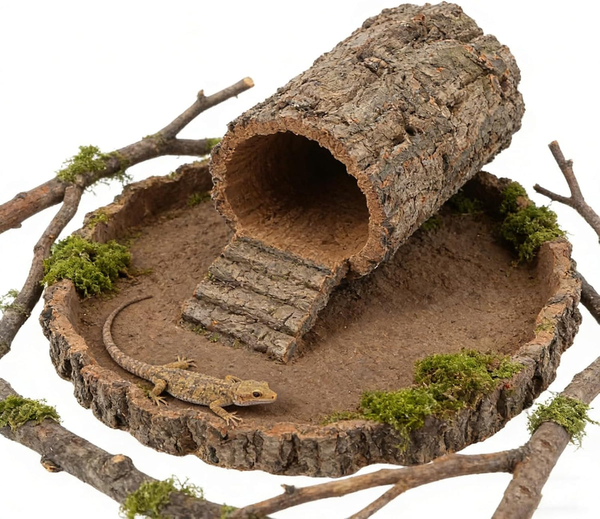 Cork Bark for Reptile Hide, Small Natural Hollow Log Cave, 20 Cm