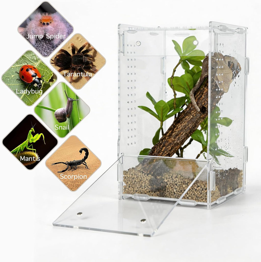 5x5x8 Acrylic Reptile Enclosure - Clear Small Pet Terrarium