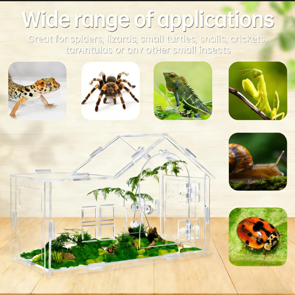 Jumping Spider Enclosure, Acrylic Habitat, 1 Pack