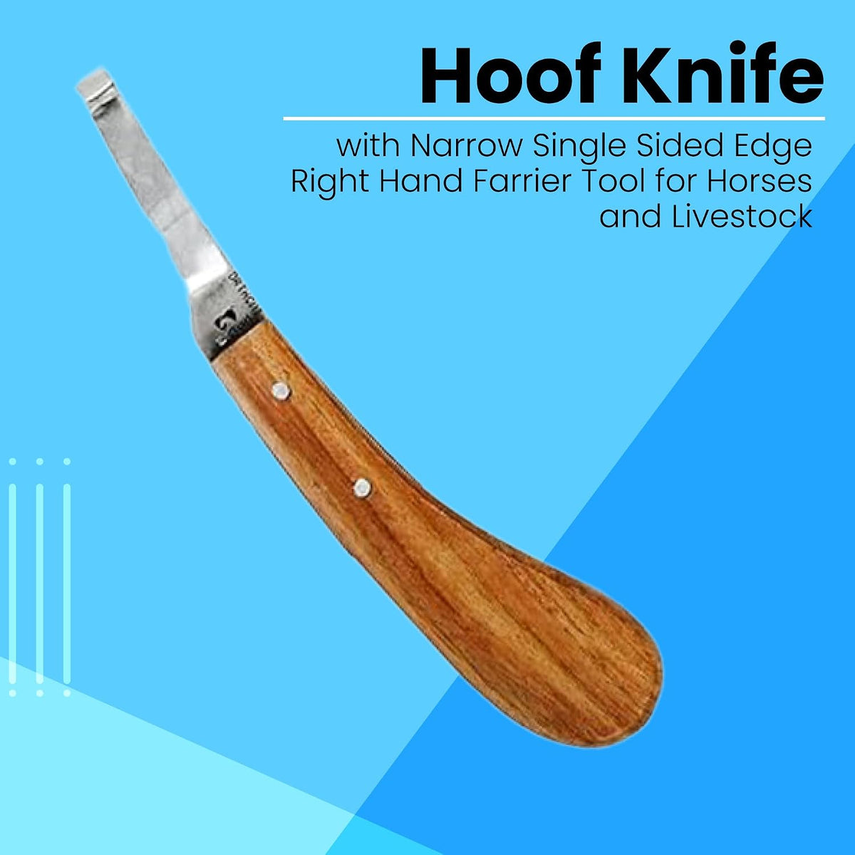 Hoof Knife with Narrow Single Sided Edge Right Hand Farrier Tool for Horses and Livestock – Premium Stainless Steel Hoof Trimming Knife with Ergonomic Contoured Handle for Better Grip