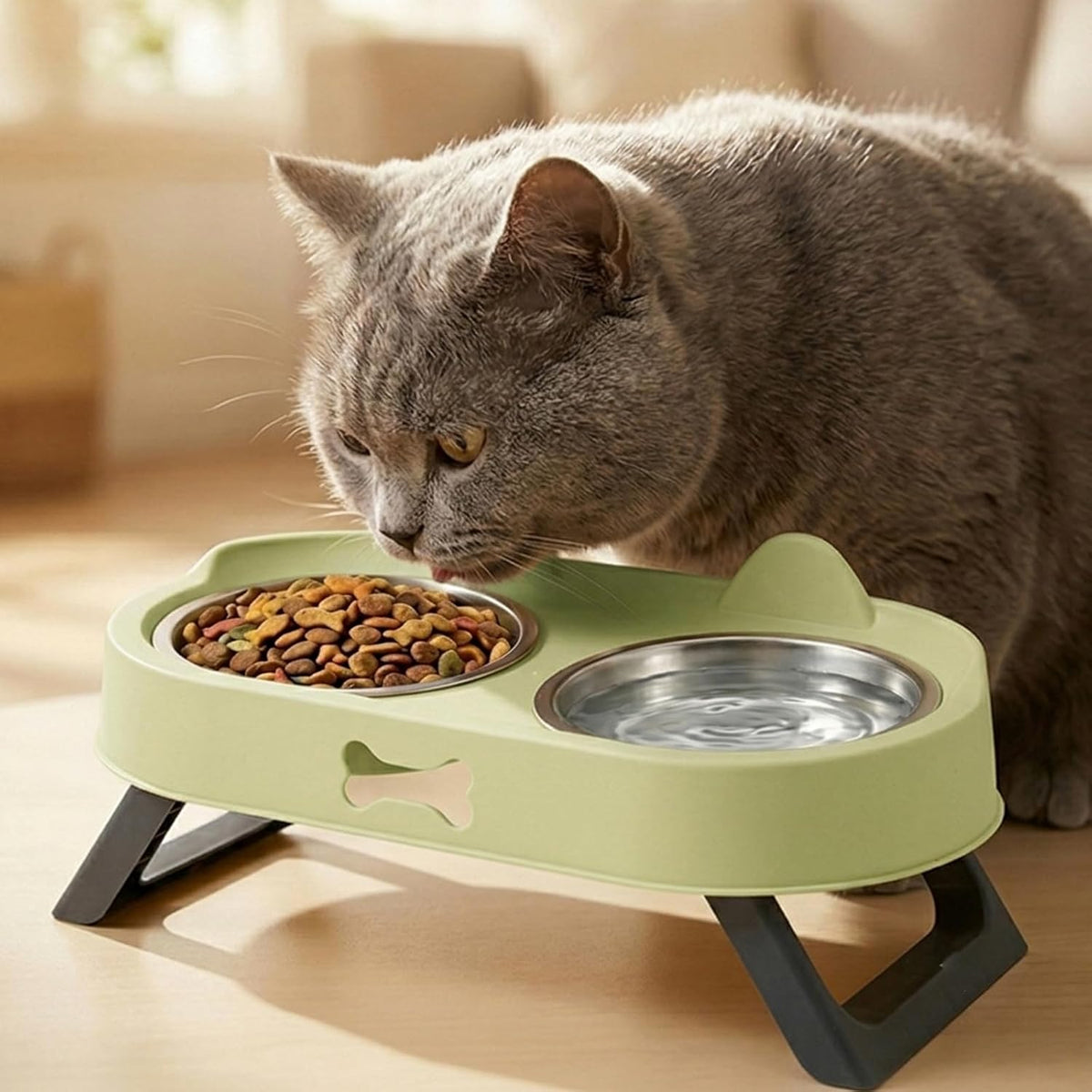 Elevated Cat Bowls with Foldable Stand, Anti Vomiting Raised Cat Food and Water Bowl Set, 2 Stainless Steel Dishes for Cats and Puppies, Splash Proof Non-Slip Neck Protection Pet Feeder (Green)
