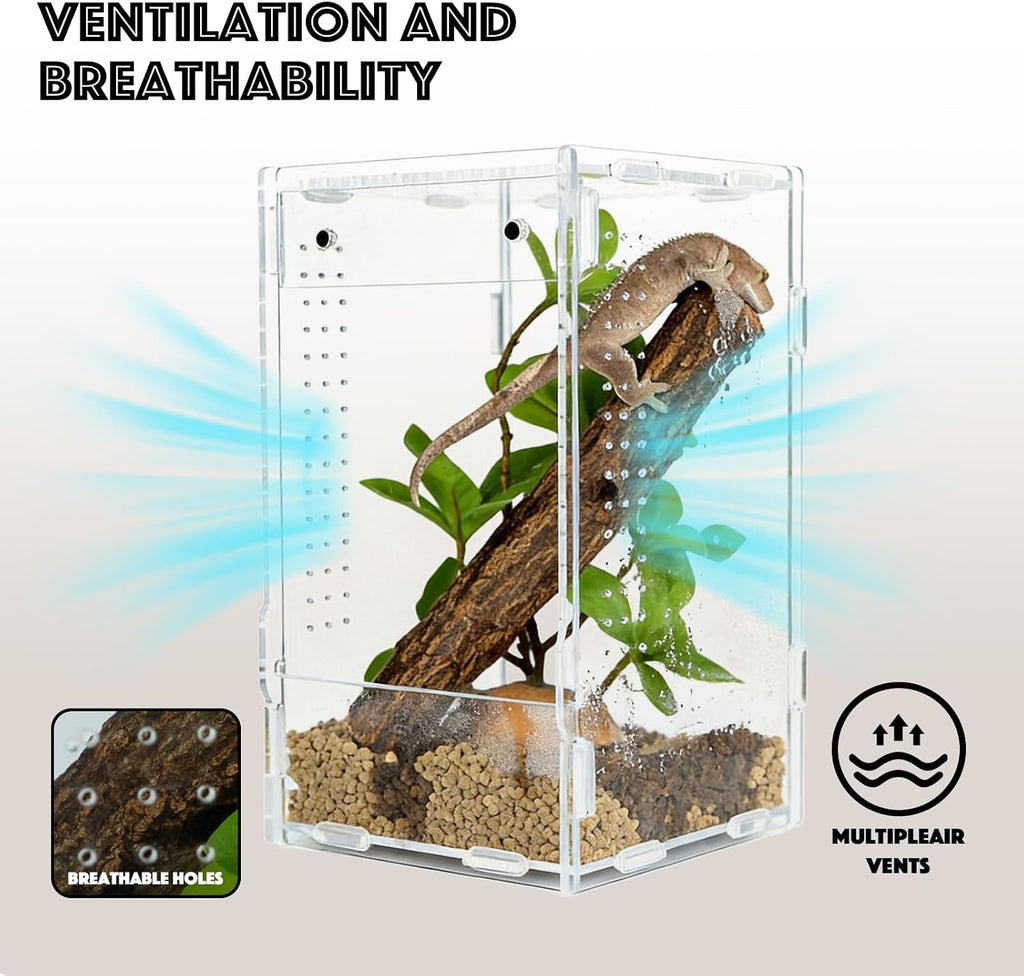 5x5x8 Acrylic Reptile Enclosure - Clear Small Pet Terrarium