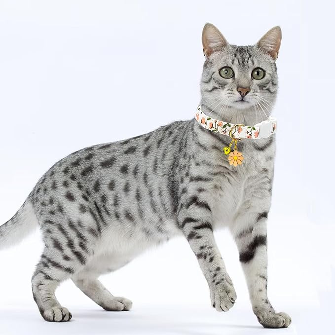 2 Pack Cotton Breakaway Cat Collars Set - Image 5