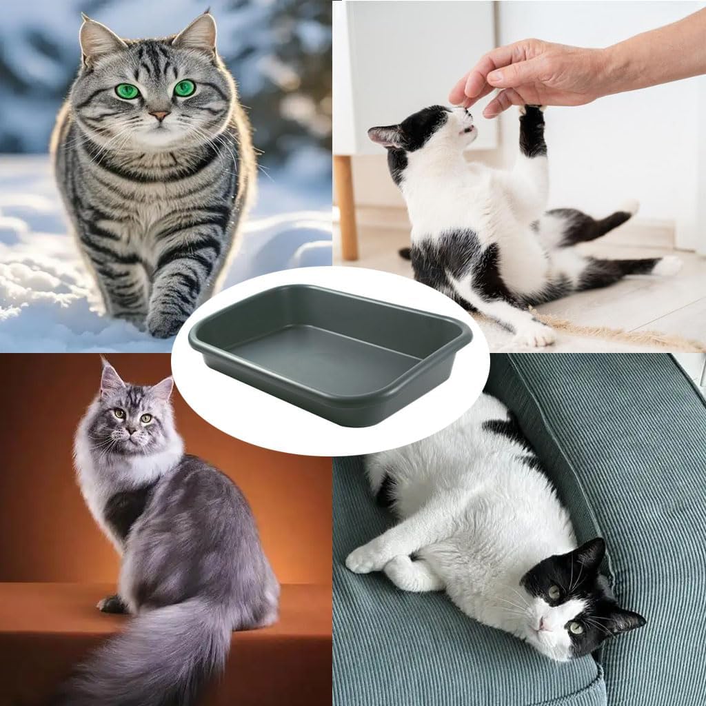 Extra Large Litter Box with High Sides 23.23" Lx16.54 Wx4.33 H, ABS Low Entry Senior Litter Pen Jumbo Pet Safe Litter Boxes Tray for Kittens to Senior Cat, Elderly and Fat Cat (Black)
