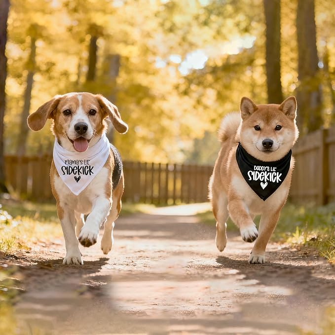 2 Pack Dog Bandana Pregnancy Announcement, Daddy's and Mama's Lil Sidekick - Image 6