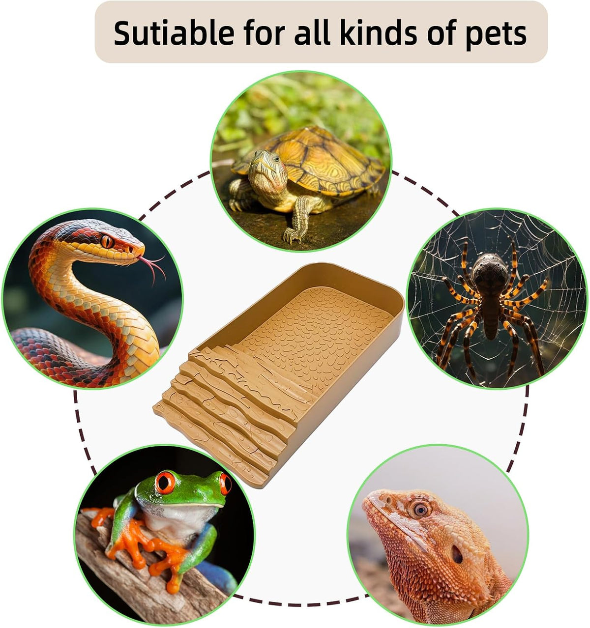 7 PCS Reptile Water Dish Bathing Pool Tortoise Habitat Accessories