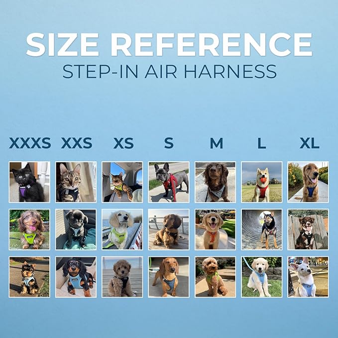 Voyager Step-in Air Dog Harness - Image 6