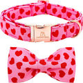 Lionheart Glory Valentine's Day Dog Collar by LionheartGlory