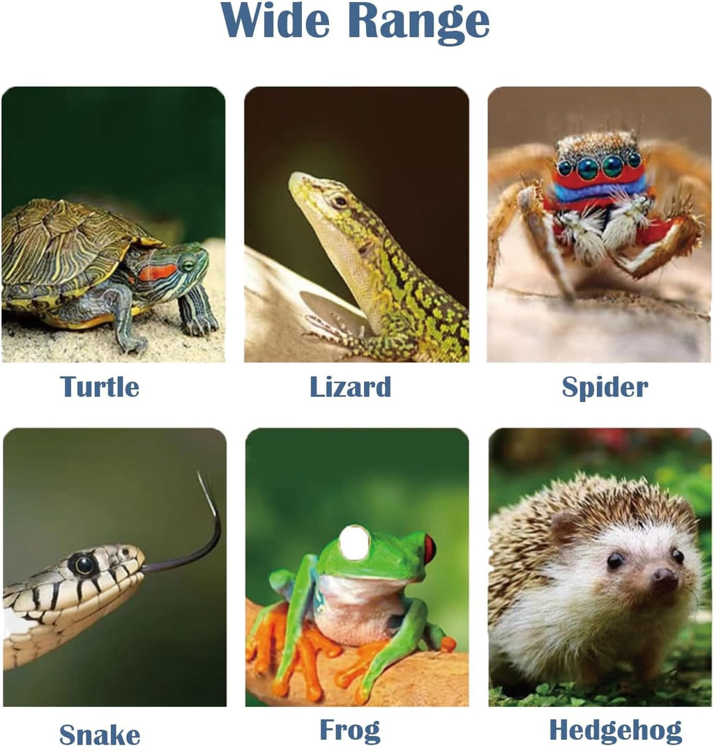 Heat lamp for reptiles，UVA UVB Turtle Heating Lamp with Two Heat Bulbs, Turtle Basking Light with 360° Rotatable Hose & Clamp & Adjustable Switch for Bearded Dragon Reptiles Turtle Lizard Snake