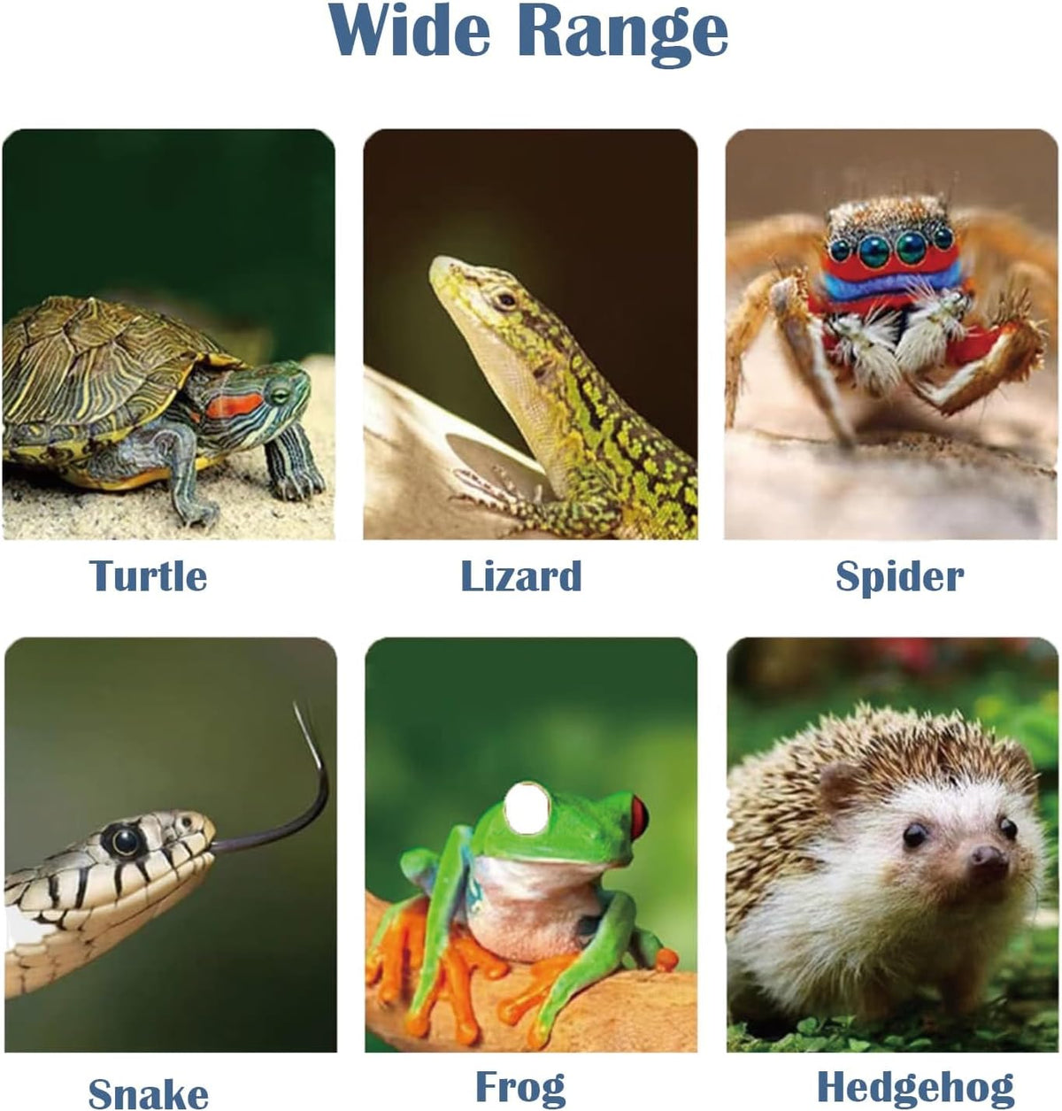 Heat lamp for reptiles，UVA UVB Turtle Heating Lamp with Two Heat Bulbs, Turtle Basking Light with 360° Rotatable Hose & Clamp & Adjustable Switch for Bearded Dragon Reptiles Turtle Lizard Snake