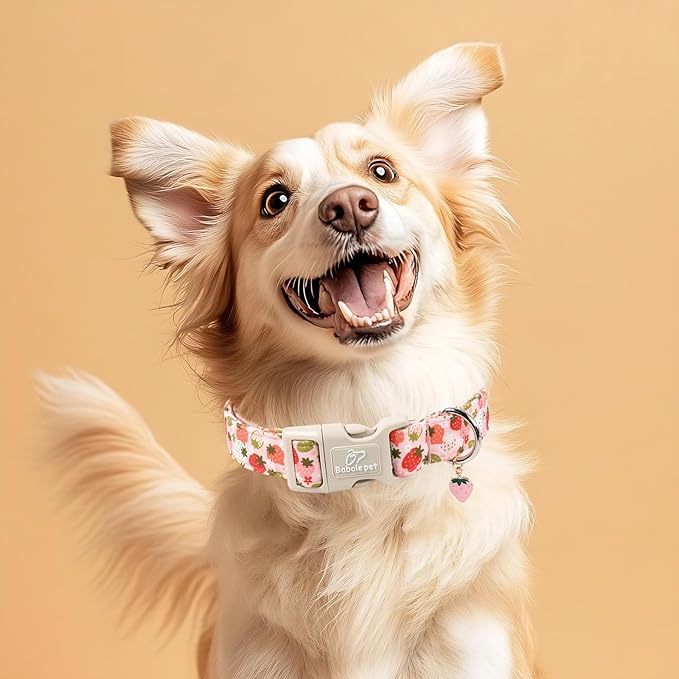 Strawberry Dog Collar for Medium Dogs - Image 2