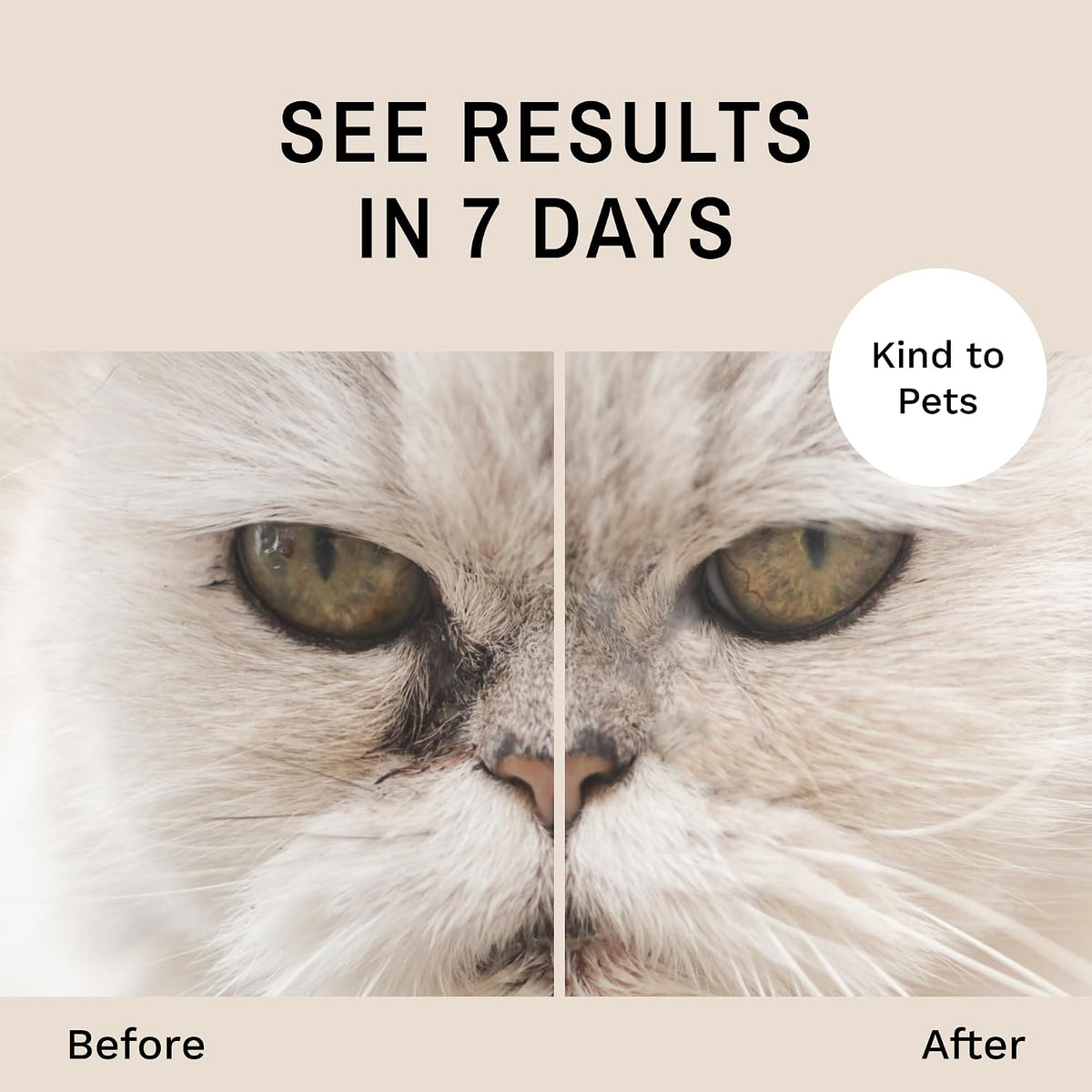 Eye Envy Cat Tear Stain Remover Starter Kit with ProPowder Brush. Stain Solution, Applicator Pads, Stain Powder, and Small Applicator Brush. Tear Stain Cleaning Kit. Lasts 30-45 Days. Made in USA.