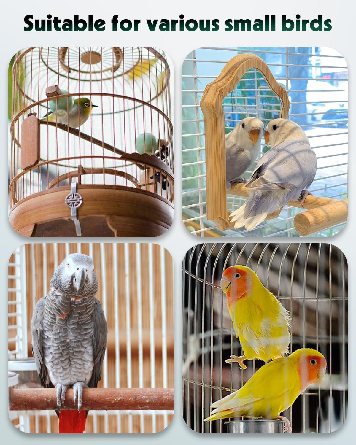 Pawfly 2 Pcs Bird Water Dispenser, Automatic Bird Water Feeder, Plastic Bird Cage Water Dispenser, Green Parrot Waterer for Parakeet Cockatiel Budgie Lovebirds (Not Fit for Food Feeding)