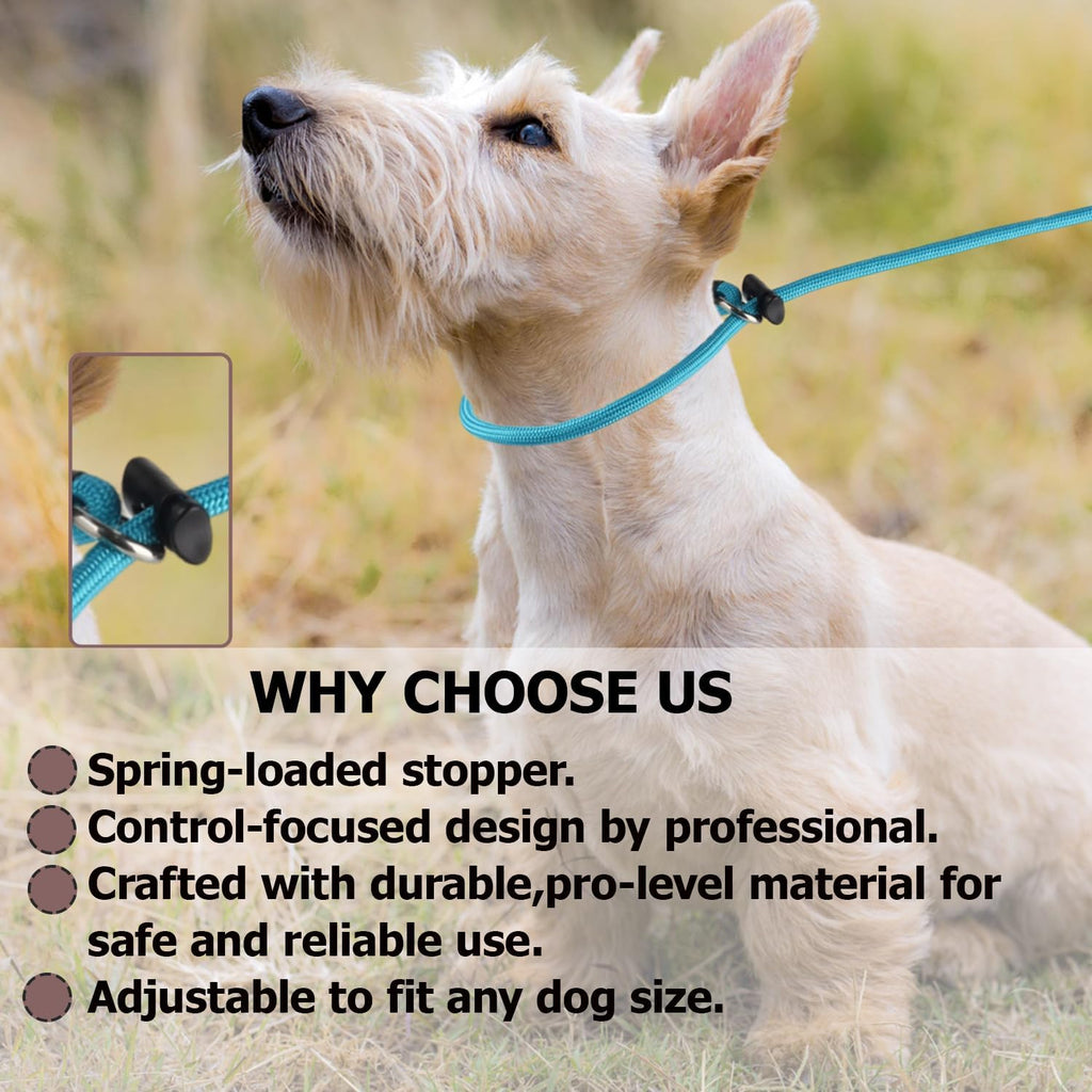 Martingale Dog Collar, 5/16” High-Strength Nylon Rope Slip Collar with Spring-Loaded Adjustable Stopper for Small, Medium & Large Dogs(Black, 22 inch)