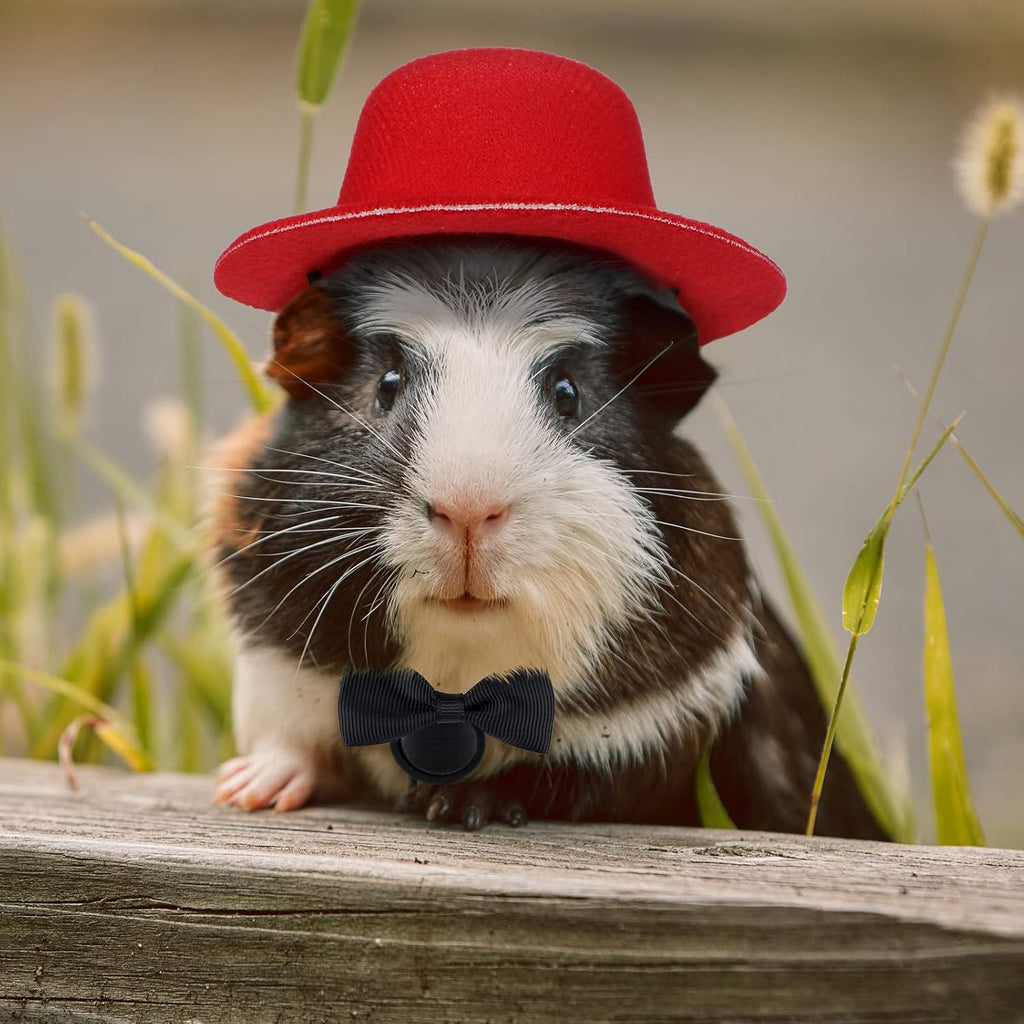 Xuniea 4 Sets 8 Pcs Guinea Pig Bow Ties Hats Costume for Hamster Ferret