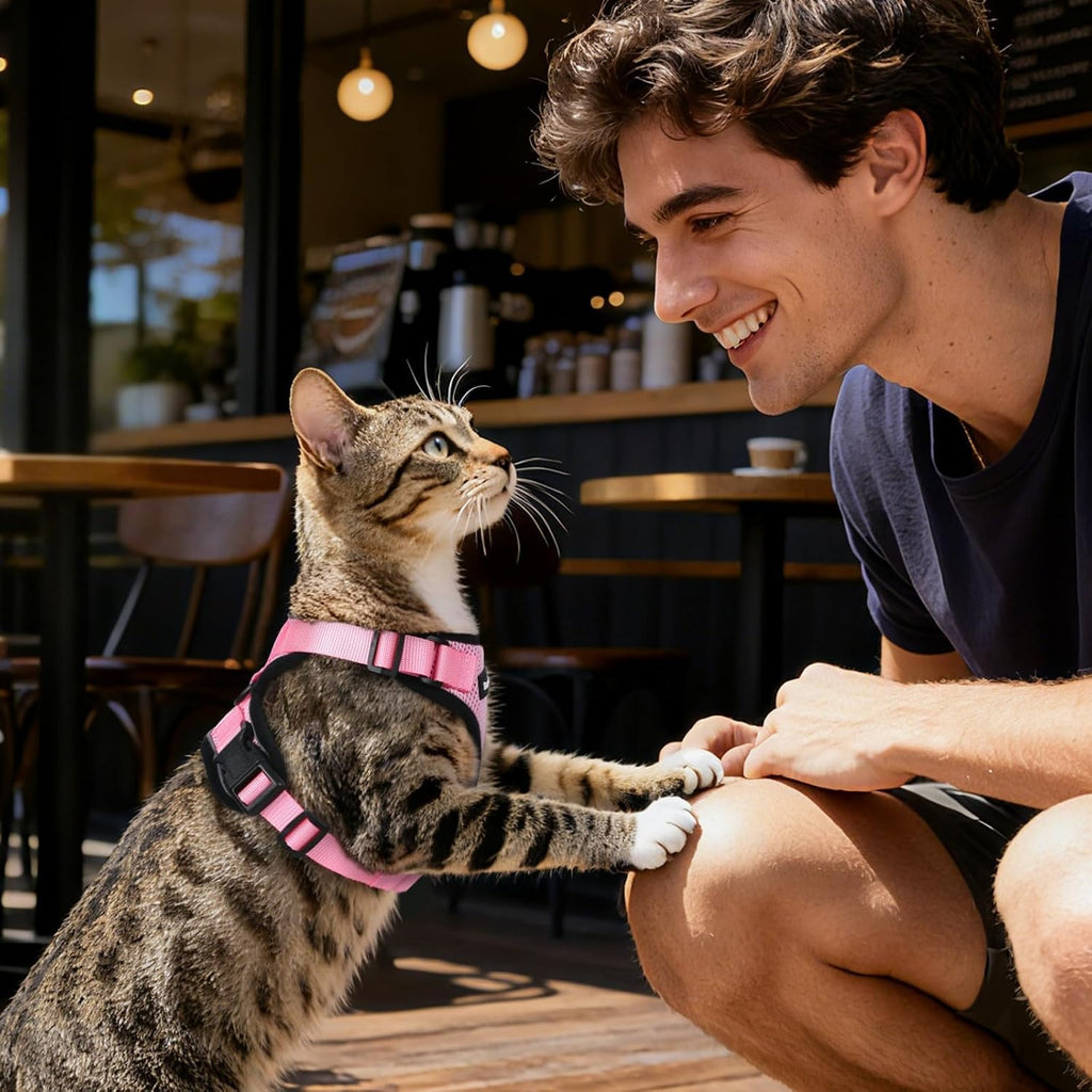 Dooradar Cat Harness and Leash Set, Adjustable and Escape Proof, Xs